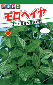 �y��q�z�����w�C���g�[�z�N�̂���