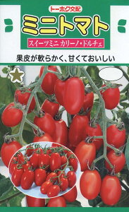 �y��q�z�~�j�g�}�g�X�C�[�c�~�j �J���[�m�E�h���`�F�g�[�z�N�̂���