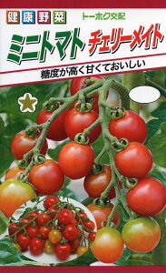 �y��q�z�~�j�g�}�g�`�F���[���C�g�g�[�z�N�̂���