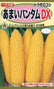 �y��q�z�g�E�����R�V���܂��o���_��DX�g�[�z�N�̂���