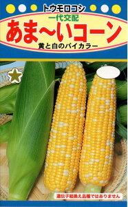 �y��q�z�g�E�����R�V���܁`���R�[���g�[�z�N�̂���