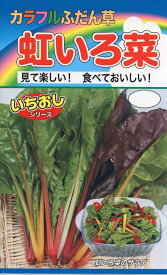 カラフルふだん草虹いろ菜【種子】トーホクのたね