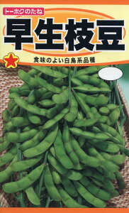 �����}���y��q�z�g�[�z�N�̂���