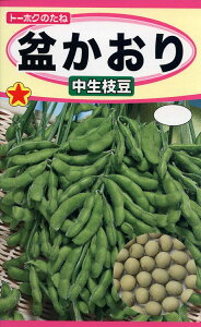 �y��q�z�G�_�}���~������ �����}���g�[�z�N�̂���