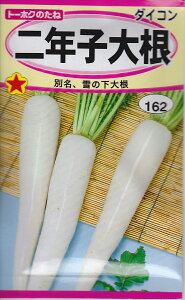 _CRNq卪g[zN̂ˁyqz