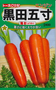 jW cܐz(悤)yqzg[zN̂