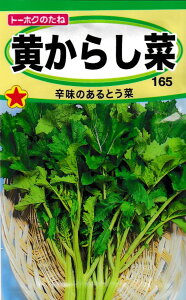 yqz炵؃g[zN̂
