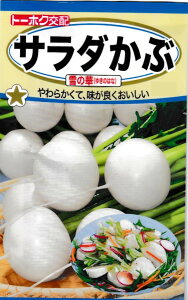 【種子】サラダかぶ 雪の華トーホクのたね