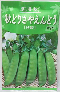 yqzHǂ肳₦ǂHPg[zN̂