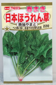 【種子】春まき日本ほうれん草 晩抽やまとトーホクのたね