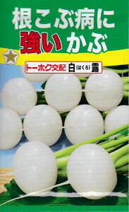 yqzԕaɋ ԔI(͂)g[zN̂