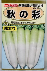 yqz卪 H̍ʃg[zN̂