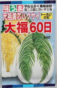 ccnNTC啟60yqzg[ẑ