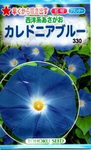 ���m�n���������J���h�j�A�u���[�y��q�z�g�[�z�N�̂���