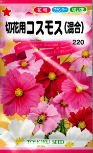 �؉ԗp�R�X���X(����)�y��q�z�g�[�z�N�̂���