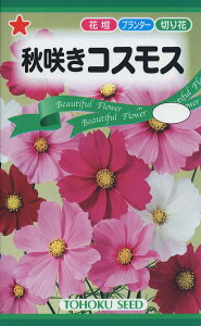 yqzH炫 RXX g[zN̂