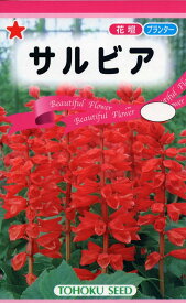 サルビア【種子】トーホクのたね