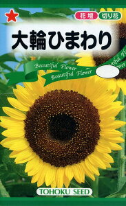 �y��q�z��ւЂ܂��g�[�z�N�̂���