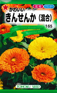 킢 񂹂񂩁ijg[zN̂