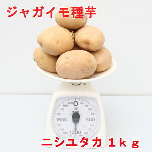 WKC jV^JiLj TCY1kg([Uj