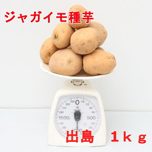 WKC o fW}TCY 1kgi[Uj