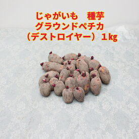 デストロイヤー 混合サイズ 1kg（充填時）グラウンドペチカ じゃがいも 種芋レッドムーンという品種の変異株