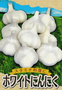 ɂɂ zCgZЁyXYzLTCY2