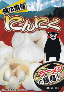 F{Y ɂɂ100g ([U)y틅z
