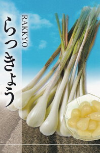 傤 200gi[UjY
