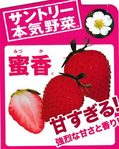 yTg[zC`Sc(݂)3|bg1c