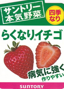 苗 イチゴ 四季なりの人気商品 通販 価格比較 価格 Com