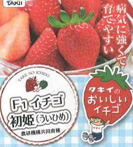 F1C`S P(Ђ)3|bg1c^LCcyC`Scz