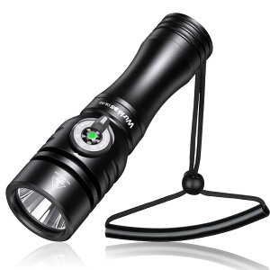 Wurkkos DL02 �_�C�r���O���C�g IPX8 ����100���[�g������g�p LED�������C�g 3000���[���� ���P�x 496�ĉ��� �i�C�g�_�C�r���O �g�[�` �d�͗ʕ\�� �h���@�\ �����d�� ��]�����C�X�C�b�`�t��)
