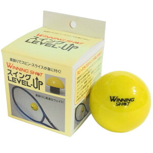 WINNING SHOT(�E�B�j���O�V���b�g) �X�C���O���x���A�b�v(SWING LEVEL-UP) 80g