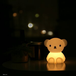 ~btB[ ohIuCg ~X^[}A Mr Maria Bundle of Light Miffy Boris Lion iCgCg LED ԐڏƖ [Cg CeA LbY xr[ KN oYj Mtg a N v