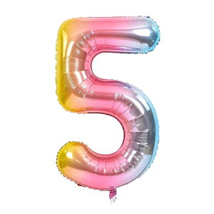 io[o[ C{[ J[ 65cm MTCY a o[  D Ajo[T[ p[eB[ fR[V JCC  Hanamei