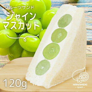 t[cTh VC}XJbg 1 HANAMEKI  XC[c ThCb` mَq Mtg j t[c N[ N[`[Y tT v[g J ʕ