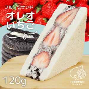 t[cTh II 1 HANAMEKI  XC[c ThCb` mَq Mtg j t[c N[ tT v[g J ʕ C`S