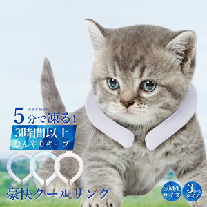 y2025NŐVŁzACXlbNoh ybgp N[O cicibella ACXN[O lbNN[[ ⊴O X}[gACX ON[ ΍ p N[VO ybg 