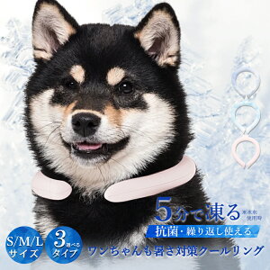 y2025NŐVŁzACXlbNoh ybgp N[O cicibella ACXN[O lbNN[[ ⊴O X}[gACX ON[ ΍ p N[VO ybg 