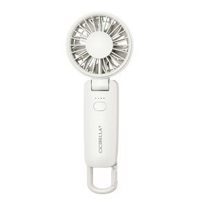 y2025VfIős̔Iz VVx 啗3waynfBt@ y nfBt@ ~j@ @ ^@ gѐ@ Type-CΉ 莝  ^ RpNg É