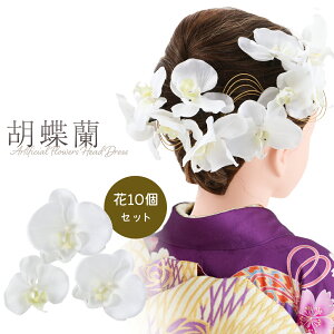 Up ap RT[W Ӓ A[eBtBVt[  zCg 10Zbg@ahh-2