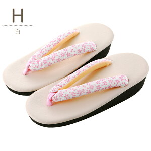 ܎O qp @   16E18E20E22cm S2 sz-99