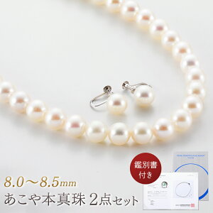 ^ 8.0`8.5mm {^lbNX CO 2_Zbg pP[X ӕʏt@pws-36