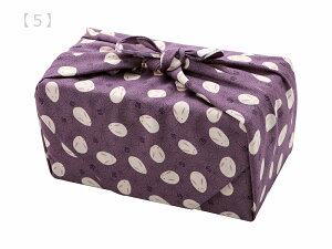 ` ڎO 50cm C~  ӂ낵  ̗t  Cg { S16^Cv sy-185