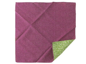 35cm a C~ ӂ낵 |GXe  o[Vu L^ S2F [֔@sy-229