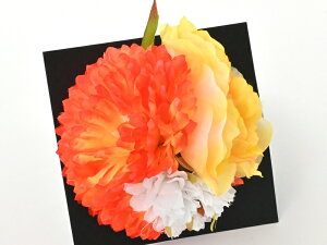  ߂mɂ R[^Cv IWn kk-604-25