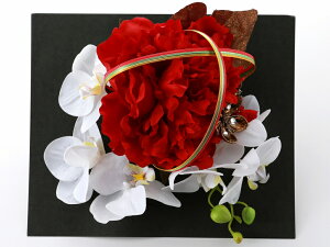 Up ap  wAANZT[ 2_Zbg R[^Cv Ӓ bhn kk-633