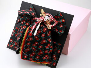 ܎O Ηp ё 吡  Pi Vi n ΂ da-252-17