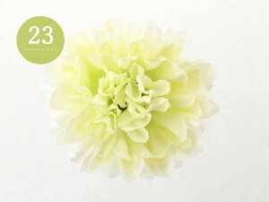 S�T�C�Y ������ �s���|���}�� U�s�� �t�����[ �� ���l�� ���܎O ���� ������ �p�[�e�B�[ kk-303 �S5�F S�T�C�Y